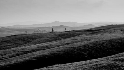 Naklejka premium Italia panorami della Toscana in bianco e nero. Provincia di Siena,Val D'Orcia e Chianti Senese. Toscana, Italia 