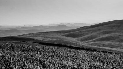 Naklejka premium Italia panorami della Toscana in bianco e nero. Provincia di Siena,Val D'Orcia e Chianti Senese. Toscana, Italia 