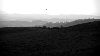 Naklejka premium Italia panorami della Toscana in bianco e nero. Provincia di Siena,Val D'Orcia e Chianti Senese. Toscana, Italia 