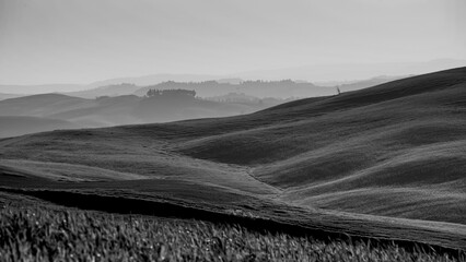 Naklejka premium Italia panorami della Toscana in bianco e nero. Provincia di Siena,Val D'Orcia e Chianti Senese. Toscana, Italia 