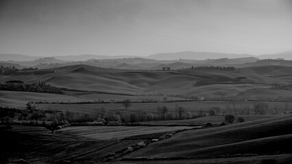 Naklejka premium Italia panorami della Toscana in bianco e nero. Provincia di Siena,Val D'Orcia e Chianti Senese. Toscana, Italia 