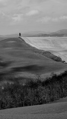 Naklejka premium Italia panorami della Toscana in bianco e nero. Provincia di Siena,Val D'Orcia e Chianti Senese. Toscana, Italia 