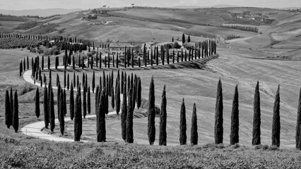Naklejka premium Italia panorami della Toscana in bianco e nero. Provincia di Siena,Val D'Orcia e Chianti Senese. Toscana, Italia 