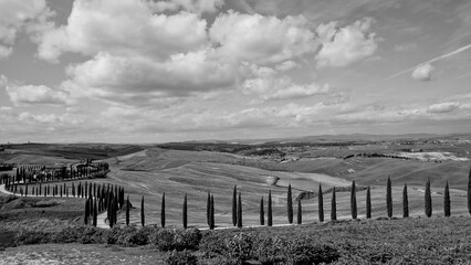 Naklejka premium Italia panorami della Toscana in bianco e nero. Provincia di Siena,Val D'Orcia e Chianti Senese. Toscana, Italia 