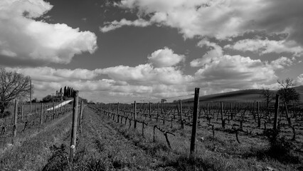 Naklejka premium Italia panorami della Toscana in bianco e nero. Provincia di Siena,Val D'Orcia e Chianti Senese. Toscana, Italia 
