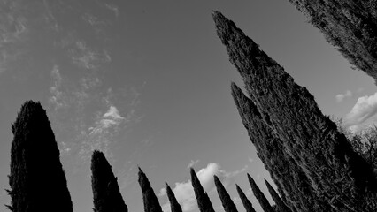 Naklejka premium Italia panorami della Toscana in bianco e nero. Provincia di Siena,Val D'Orcia e Chianti Senese. Toscana, Italia 