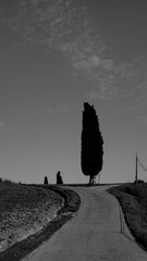 Naklejka premium Italia panorami della Toscana in bianco e nero. Provincia di Siena,Val D'Orcia e Chianti Senese. Toscana, Italia 