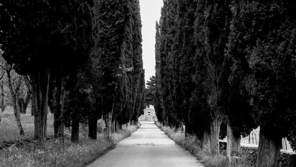Naklejka premium Italia panorami della Toscana in bianco e nero. Provincia di Siena,Val D'Orcia e Chianti Senese. Toscana, Italia 