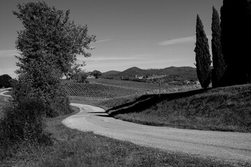 Naklejka premium Italia panorami della Toscana in bianco e nero. Provincia di Siena,Val D'Orcia e Chianti Senese. Toscana, Italia 