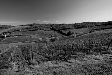 Naklejka premium Italia panorami della Toscana in bianco e nero. Provincia di Siena,Val D'Orcia e Chianti Senese. Toscana, Italia 