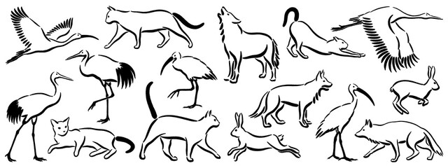 Obraz premium Hand-drawn minimalistic Sumi ink drawings of various animals, Japanese style illustrations, black brush strokes