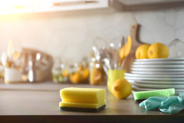 Kitchen cleaning, hygiene and maintenance concept with scouring pads