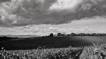 Naklejka premium Italia panorami della Toscana in bianco e nero. Provincia di Siena,Val D'Orcia e Chianti Senese. Toscana, Italia 