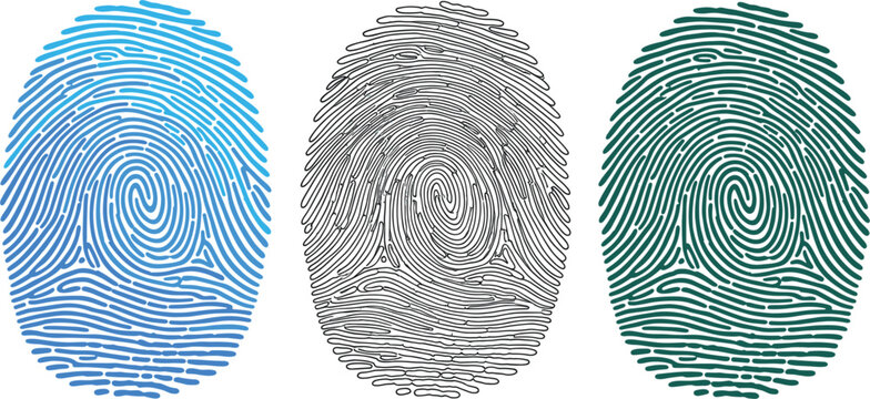 Set of three colorful biometric fingerprint scan icons in blue black and teal for digital security identity verification forensic science investigation or personal data protection.
