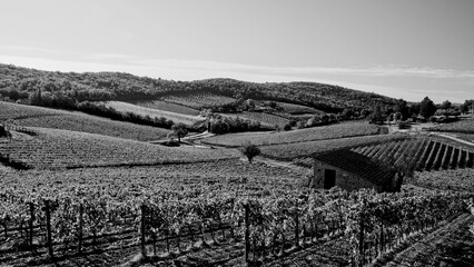 Naklejka premium Italia panorami della Toscana in bianco e nero. Provincia di Siena,Val D'Orcia e Chianti Senese. Toscana, Italia 