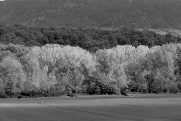 Naklejka premium Italia panorami della Toscana in bianco e nero. Provincia di Siena,Val D'Orcia e Chianti Senese. Toscana, Italia 
