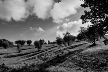 Naklejka premium Italia panorami della Toscana in bianco e nero. Provincia di Siena,Val D'Orcia e Chianti Senese. Toscana, Italia 