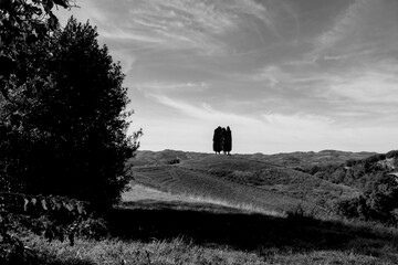 Naklejka premium Italia panorami della Toscana in bianco e nero. Provincia di Siena,Val D'Orcia e Chianti Senese. Toscana, Italia 