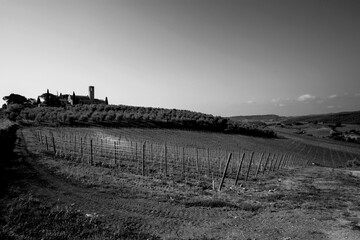 Obraz premium Italia panorami della Toscana in bianco e nero. Provincia di Siena,Val D'Orcia e Chianti Senese. Toscana, Italia 