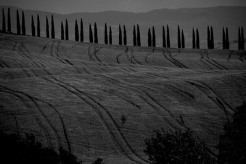 Obraz premium Italia panorami della Toscana in bianco e nero. Provincia di Siena,Val D'Orcia e Chianti Senese. Toscana, Italia 