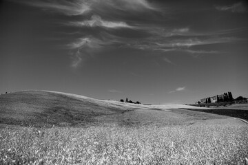Obraz premium Italia panorami della Toscana in bianco e nero. Provincia di Siena,Val D'Orcia e Chianti Senese. Toscana, Italia 