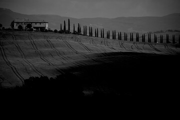 Obraz premium Italia panorami della Toscana in bianco e nero. Provincia di Siena,Val D'Orcia e Chianti Senese. Toscana, Italia 