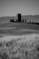 Naklejka premium Italia panorami della Toscana in bianco e nero. Provincia di Siena,Val D'Orcia e Chianti Senese. Toscana, Italia 
