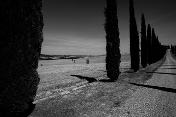 Naklejka premium Italia panorami della Toscana in bianco e nero. Provincia di Siena,Val D'Orcia e Chianti Senese. Toscana, Italia 