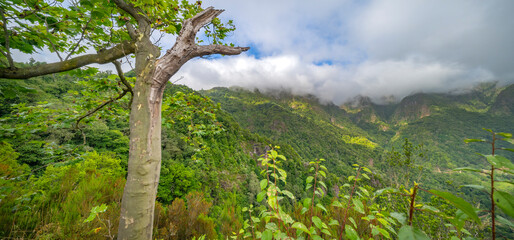 Fototapeta premium Panoramic View from Vereda dos Balcoes PR11 Mountain Footpath, Irrigation Channel Maintenance Trail, Madeira, Portugal, Europe