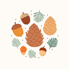 Collection of assorted pine cones and acorns surrounded by leaves in a circular arrangement viewed from directly above