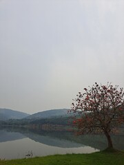 A  scenic view of Lake Muhazi in Rwanda