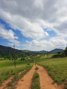 A dirt road leading to a village in rural Africa