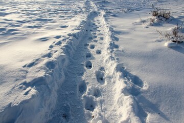 snow marks of the route