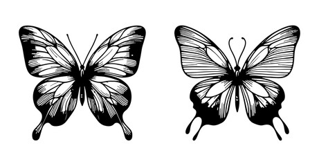 Obraz premium Bold Butterfly Silhouette Set Isolated on White, Black Graphic Insect Wings Vector Illustration Collection 