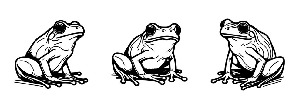 Collection of sitting frog silhouettes in hand drawn outline style. Minimal vintage amphibian vector set.
