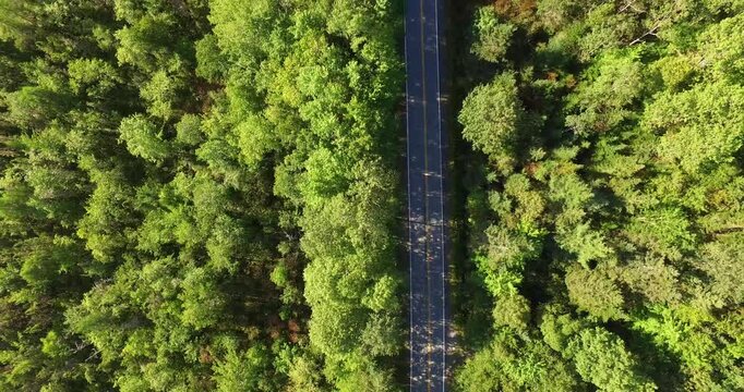 Top down drone view of a paved road cutting through dense green forest in Nova Scotia, Canada, with a tandem bicycle traveling along the roadway.