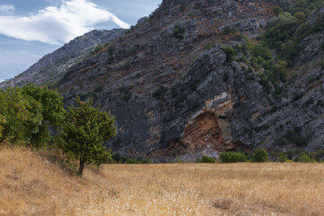 Obraz premium A tranquil landscape featuring a golden grass field