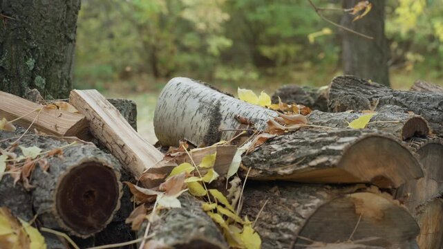 autumn woodpile stacked logs in forest, birch log and cut timber scattered with yellow leaves, closeup of bark and moss texture, rustic outdoor mood evoking cozy warmth and natural fuel, calm