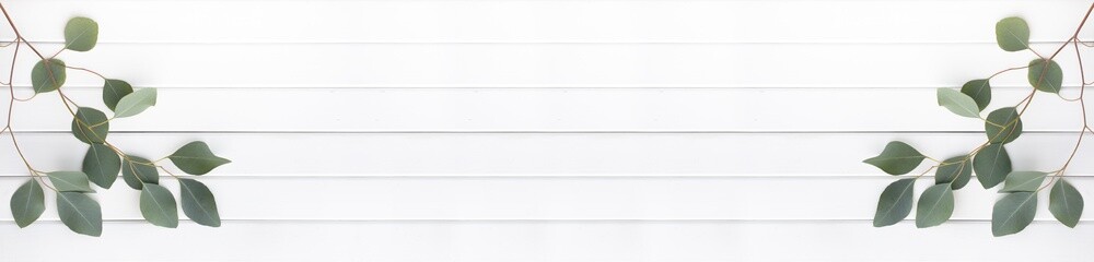 Floral Banner with Eucalyptus Branches on White Wooden Planks and Wide Copy Space © MonTeArt