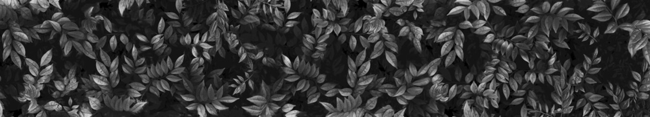 Dark Black and White Leaves Texture Background with Dramatic Shadows and Foliage Pattern