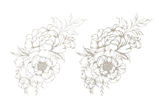 Vintage Peony Line Art. Trendy floral peony bouquets and flowers. Botanical Line Drawing Peony Collection. Hand drawn baroque flower bouquets. Peony Outline