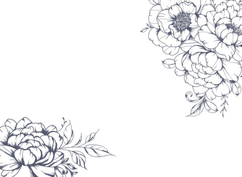 Peony Line Art. Trendy floral peony bouquets and flowers. Botanical Line Drawing Peony Collection. Hand drawn line art peony flowers. Luxury Line Floral Art. Peony Outline
