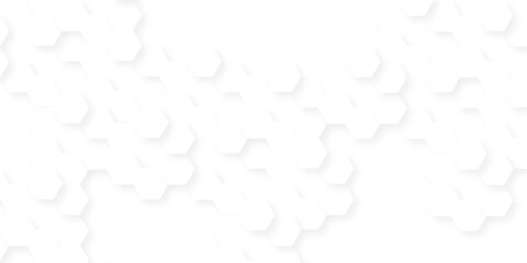 Fototapeta premium Abstract background with squares . Background with hexagons . Abstract background with lines . white texture background . white and hexagon abstract background. white paper texture and futuristic .