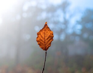 Close-up of a thin branch held by 630310 PSv equipment
