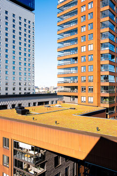 Modern tower highrise architecture in urban Stockholm Sweden with rooftop green sedum creating vertical skyline landmark under bright daylight