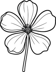 Fototapeta premium Black and white vector line art illustration of a single blooming flower with five petals and detailed stamen for floral nature coloring book design