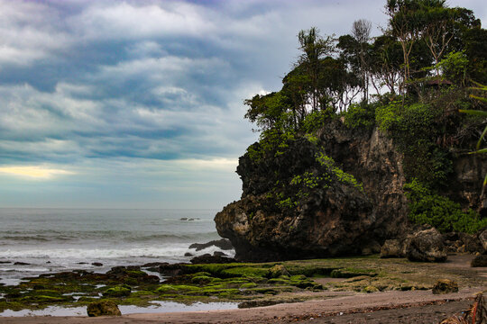 A wide-angle view of a tree-covered rocky islet rising from a dark volcanic sand beach. Mossy shoreline rocks, low tide, and a misty overcast sky create a quiet, atmospheric tropical coastal landscape