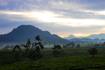 Obraz premium Wide scenic view of a green valley with steam rising from a geothermal power plant, surrounded by mountains and fields under soft morning light, renewable energy, sustainability, and landscape themes.