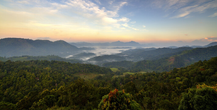 View of a lush, green valley filled with trees and low clouds under a pastel sky at dawn, Sigiriya, Central Province, Sri Lanka.