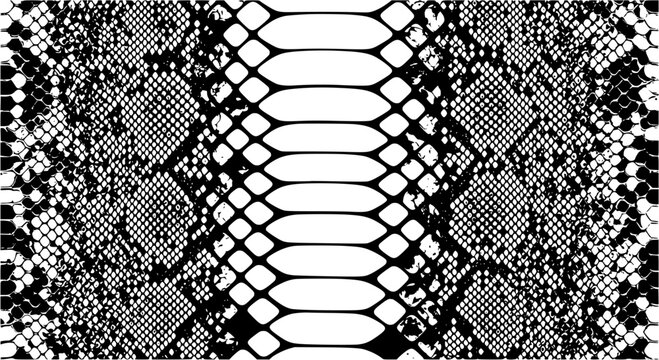 snakeskins texture, flat design, black and white